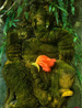 bali_v_11.jpg
