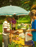 hawaii_vert_09.jpg